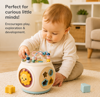 Bead Maze & Shape Sorter Sensory Educational Toy for Babies 0-3 Years Old